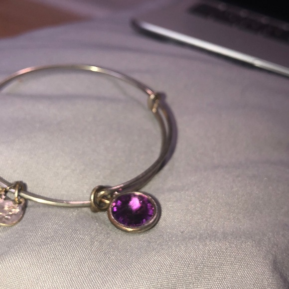 Alex and Ani amethyst birthstone(February) silver - Picture 2 of 4
